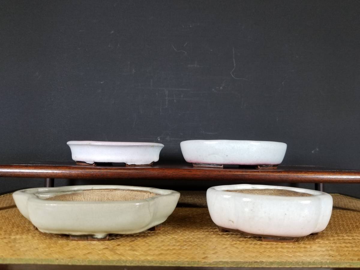 虹泉 盆栽鉢 楕円 浅め 虹泉 盆栽鉢 楕円 浅め 現代小鉢：平安虹泉