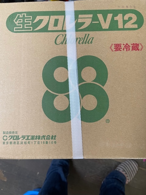 注意！次回入荷１１/１４予定　生クロレラ　５００ｍｌ×５本　クール便　送料込み