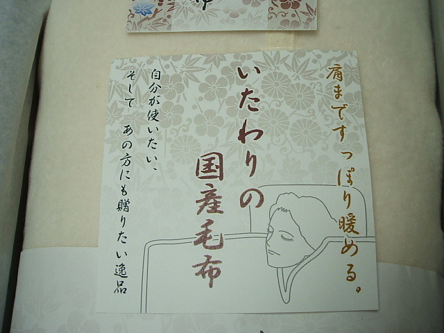 ☆送料無料☆泉州(日本製)☆肩まですっぽり暖か(ロングサイズ)☆シルク混毛布☆これからの季節に！！