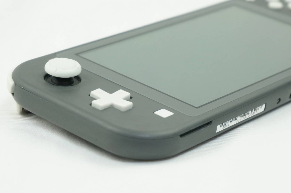 Switch Lite グレー 本体 (訳ありジャンク品)専用ケース付き Nintendo
