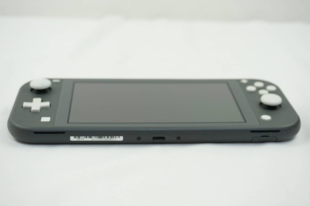 Switch Lite グレー 本体 (訳ありジャンク品)専用ケース付き Nintendo