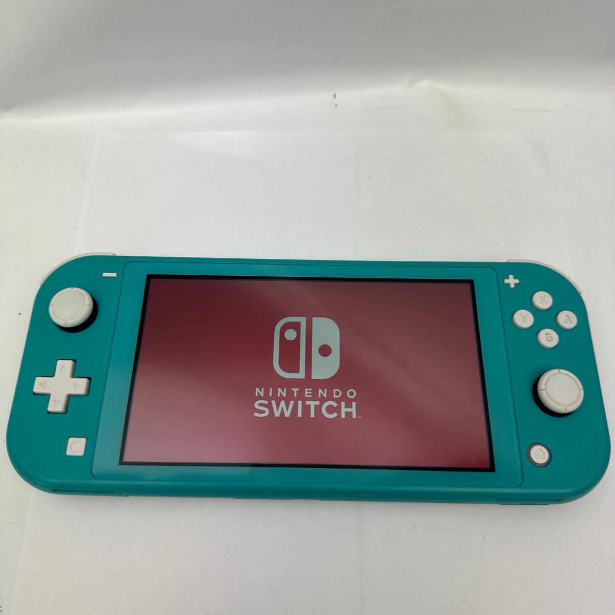動作確認済み switch lite 本体のみ ターコイズ スイッチ ライト