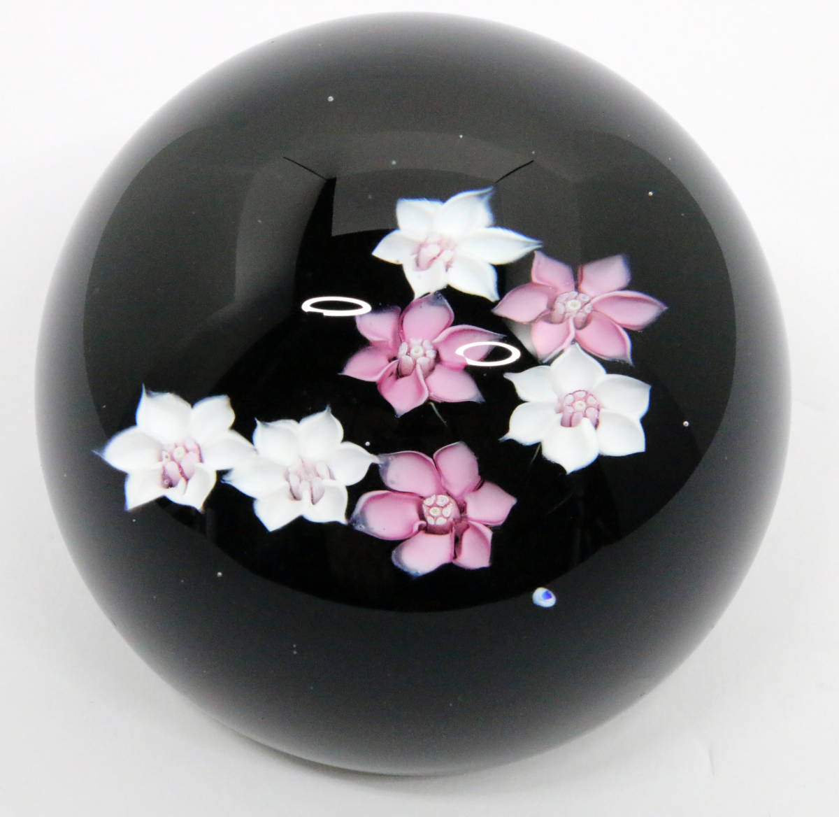 Caithness ケイスネス ペーパーウェイト White / Pink spray