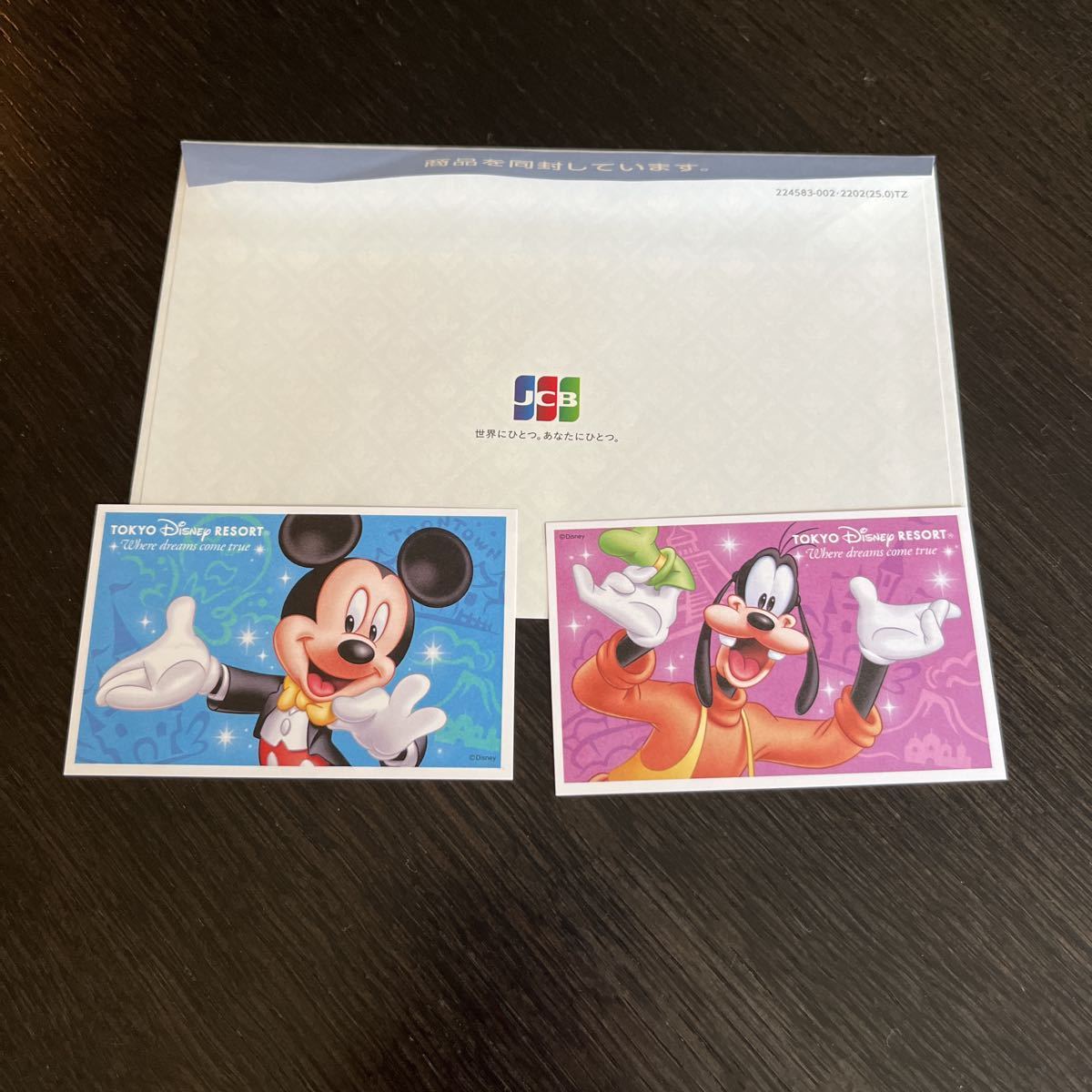 ディズニーランド ディズニーシー スポンサーパスポート 2枚セット　有効期限2024/02/29_1