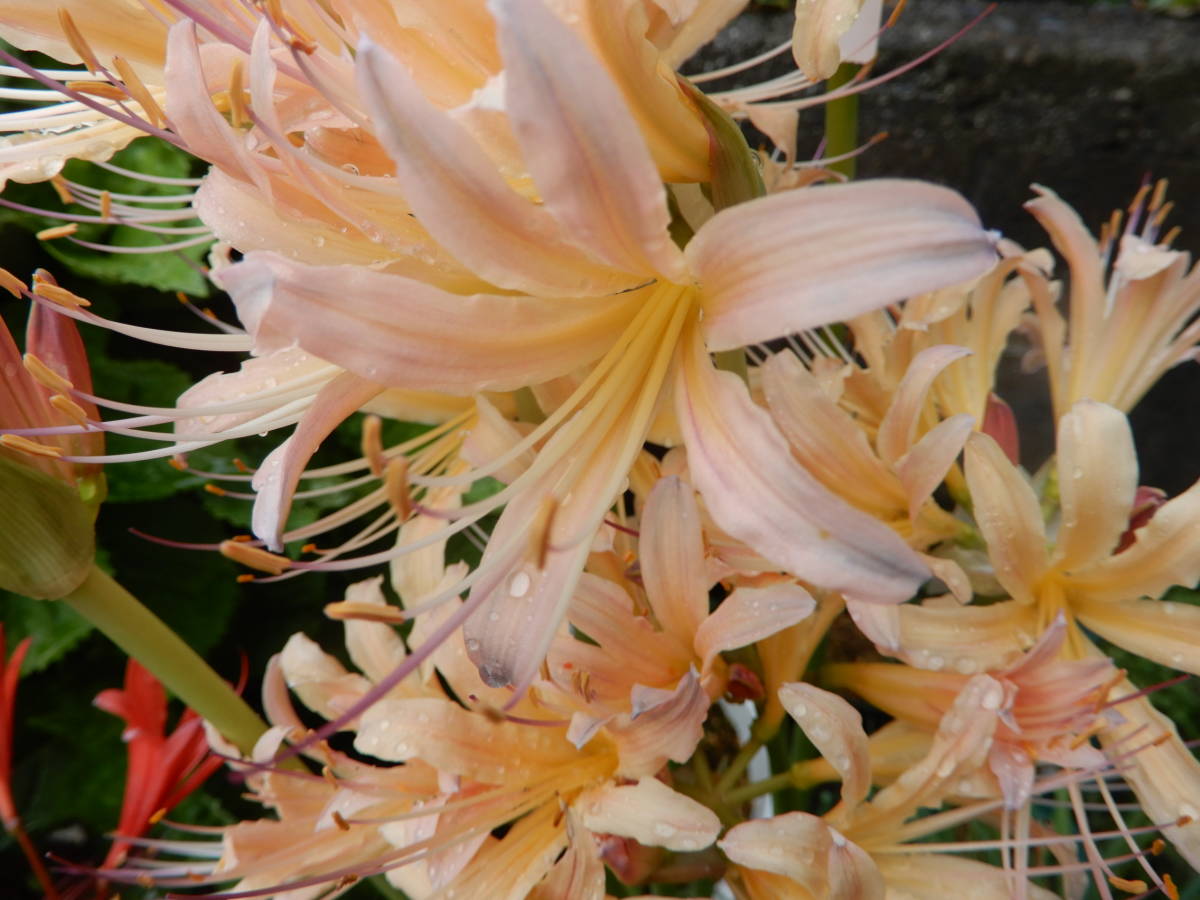 g1115323115.3