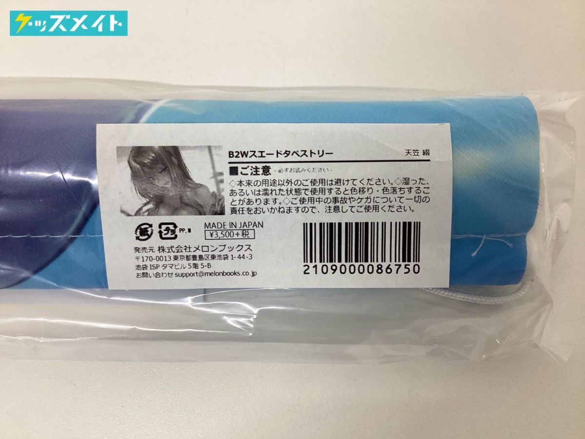 未開封】メロンブックス ピロ水オンリーショップ 天笠綴 B2