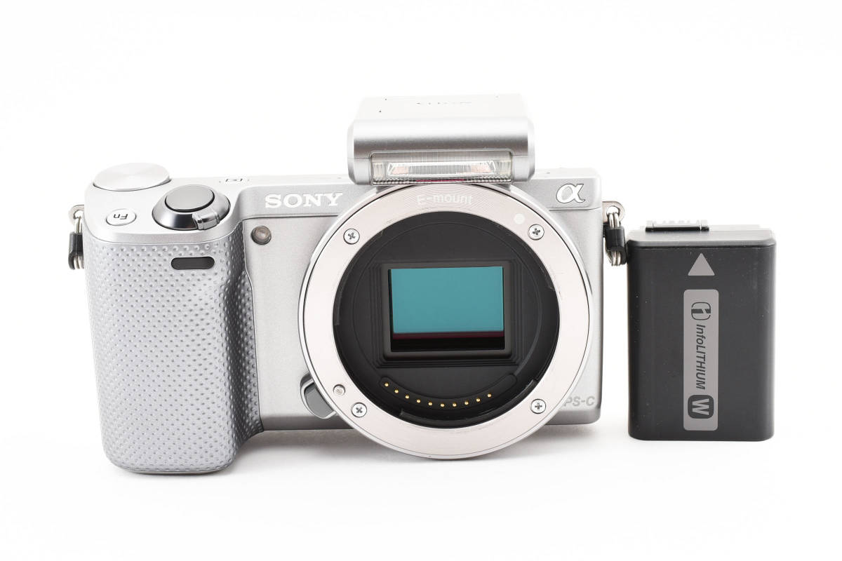 ★実用美品★ソニー SONY NEX-5R ボディ #2311368