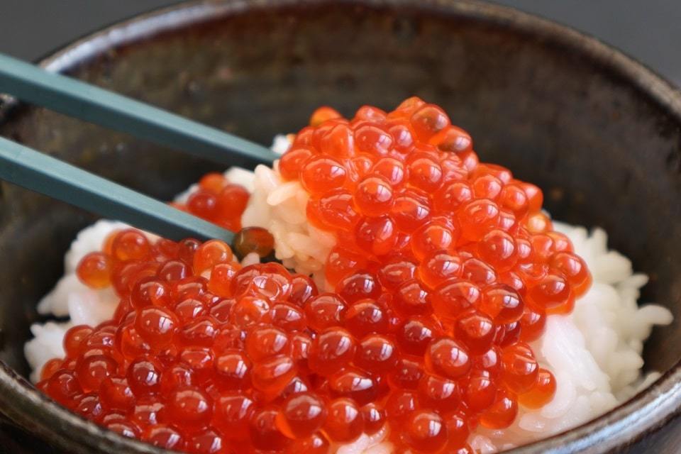 北海道産　いくら醤油漬け_1