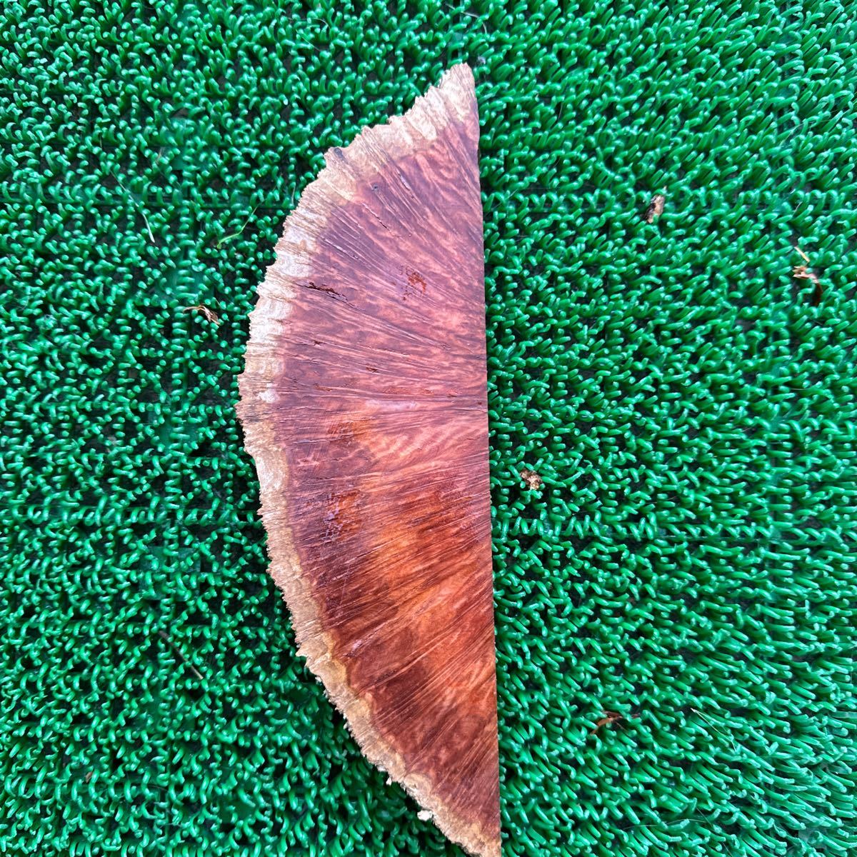 ⑫ユーカリマリーゴールドフィールドバール レッドマリー 極上杢 25