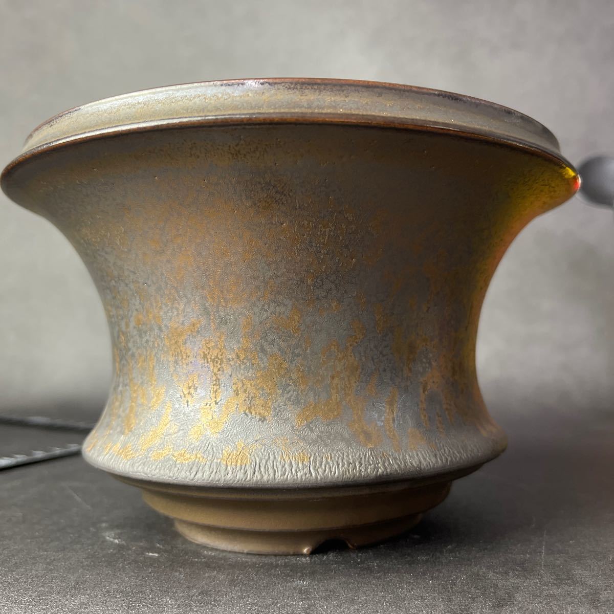 D429 LLサイズ 植木鉢 陶器 検（塊根植物 アガベ パキプス invisible ink raw life factory SRL 信楽焼 伝市鉢カタチ製作所 グラキリス