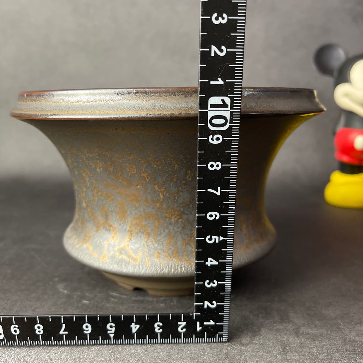 D429 LLサイズ 植木鉢 陶器 検（塊根植物 アガベ パキプス invisible ink raw life factory SRL 信楽焼 伝市鉢カタチ製作所 グラキリス