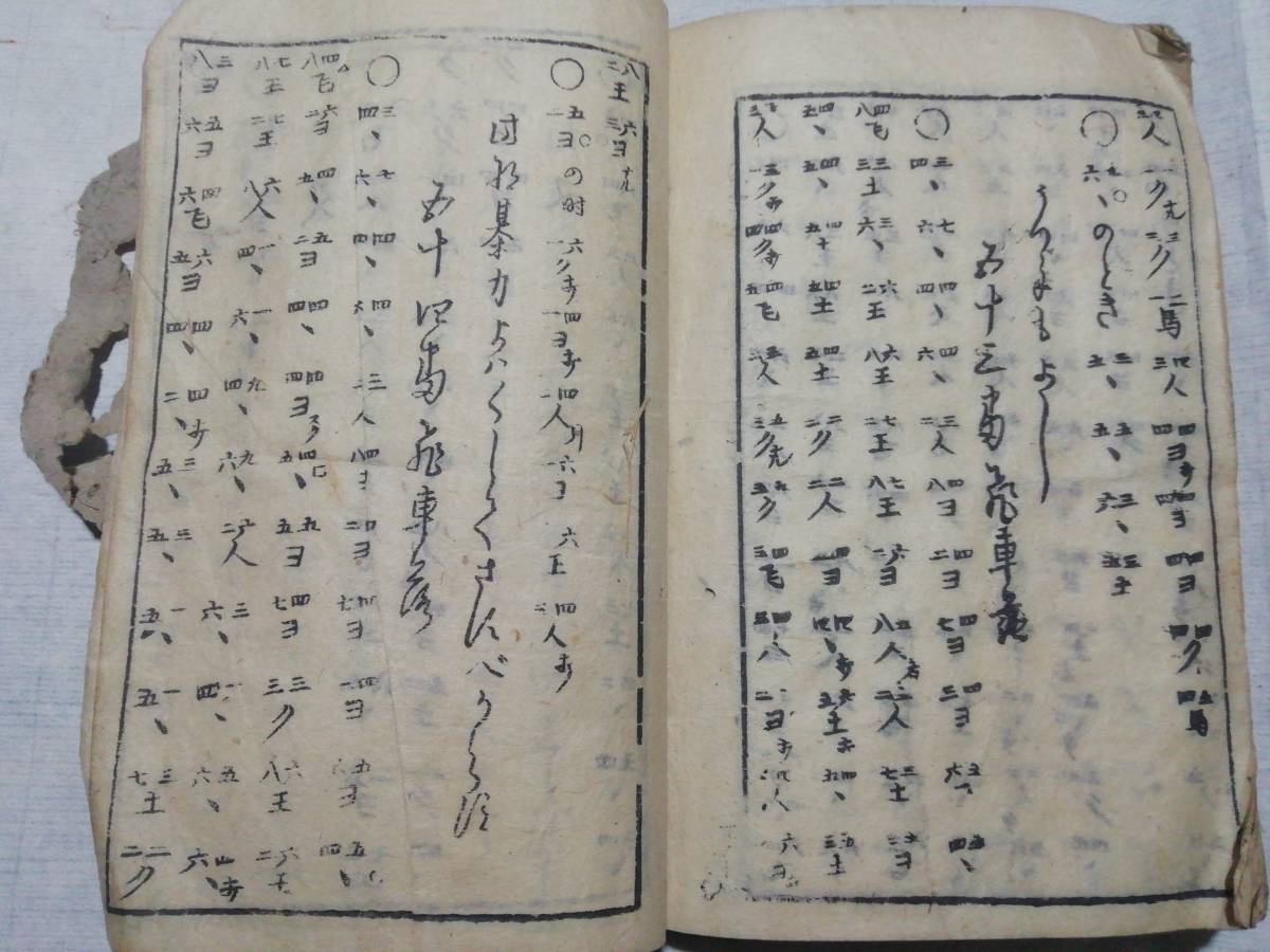 ♪和本 将棊童觀抄　當時流行之駒組　江戸中橋廣小路町　西宮彌兵衛板_7