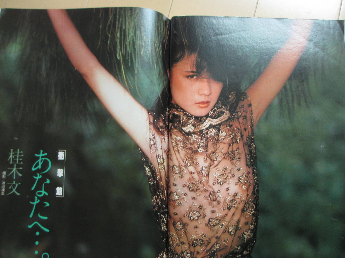 昭和57年2月11日・No4号・ゴロー・GORO・手塚理美・桂木文・浜田朱里・川島なお美・柳川ひろ子_9