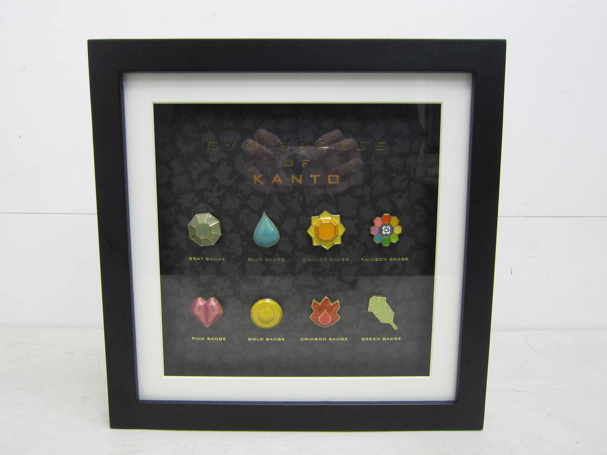 ポケモンセンター ジムバッジコレクション コンプリートセット 赤緑 
