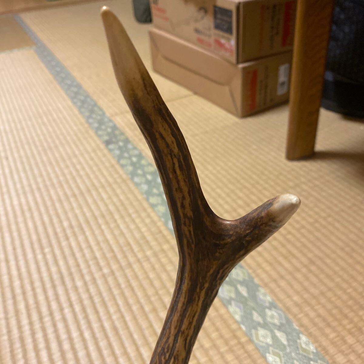 現状品 鹿ツノ 鹿 角 日本鹿 ニホンジカ オブジェ インテリア 置物 刀 