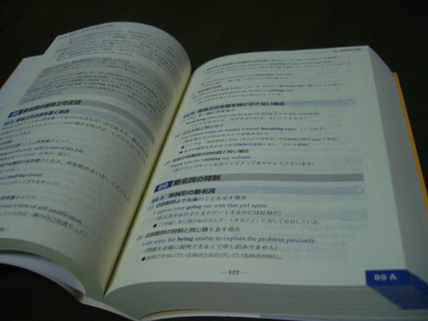 表現のための実践ロイヤル英文法 旺文社_3