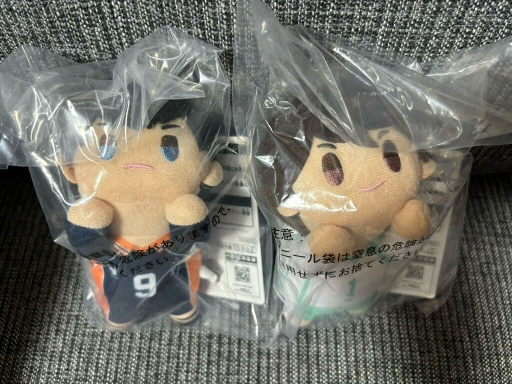 ハイキュー 一番くじ D賞 ちょこのっころん ぬいぐるみ 影山飛雄 及川