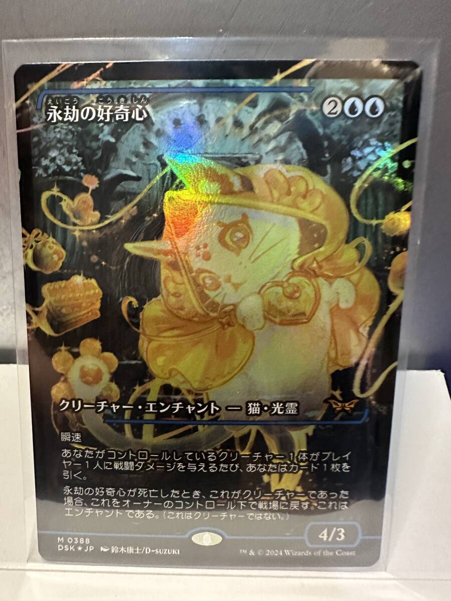 MTG 永劫の好奇心 Enduring Curiosity ショーケース FOIL 日本語版 1枚