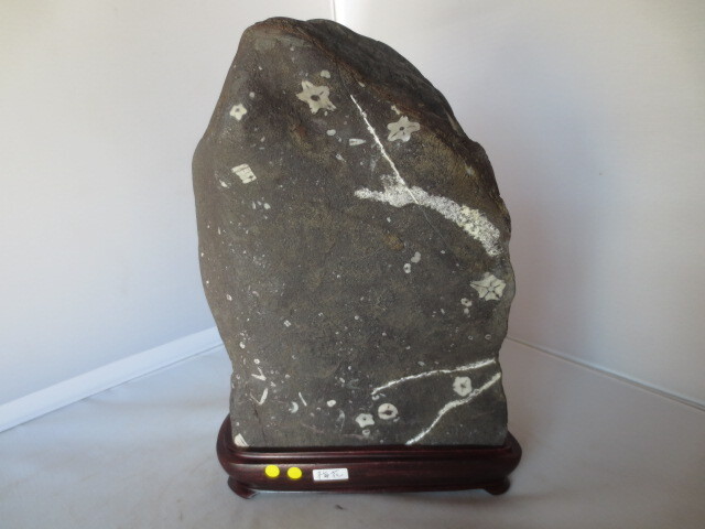 門司梅花石の値段と価格推移は？｜1件の売買データから門司梅花石の