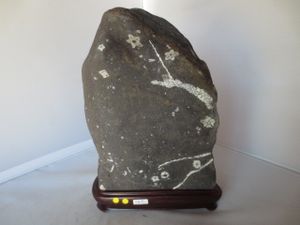 門司梅花石の値段と価格推移は？｜1件の売買データから門司梅花石の