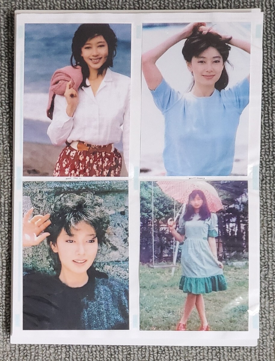 夏目雅子さんの写真 Lサイズ 40枚とアルバムの入札履歴 - 入札者の順位