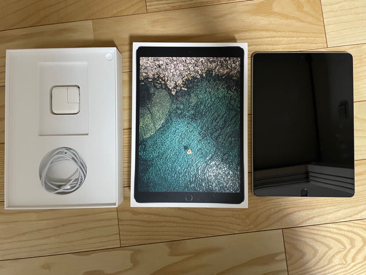 ipad pro 10.5インチ 256GB SIMフリー スペースグレイ Apple 100%新品