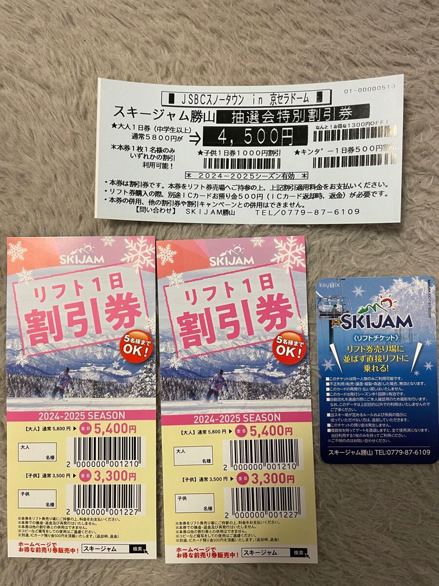 施設利用券 SKIJAM リフトチケット 2枚セット