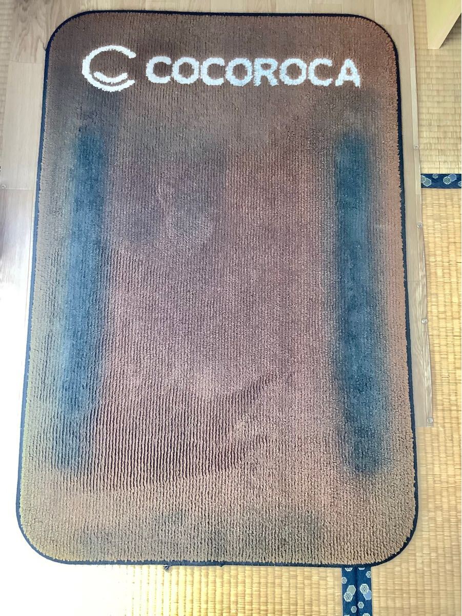 ココロカ　レガシスプラス　通電マット　温熱マット　説明書　DVD付属_10