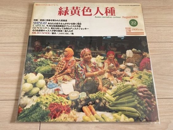 SHING02 アナログ盤 2LP「緑黄色人種」レコード MARY JOY - 緑黄色人種