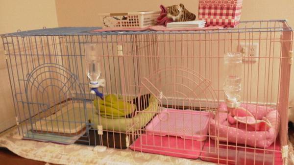 中古　リッチェルジョイントサークルセット！！_1