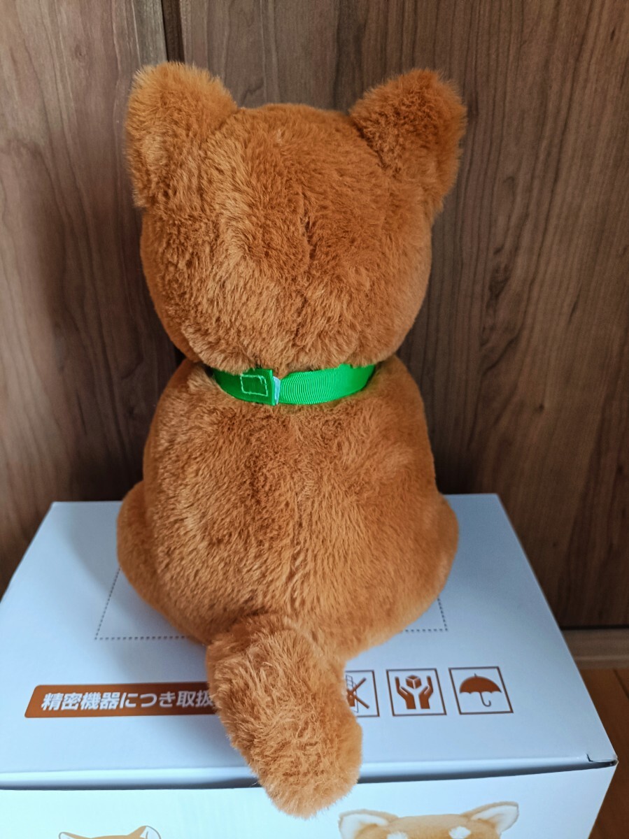 しばいぬコウタバンダナ付きセット しばいぬこうた 音声