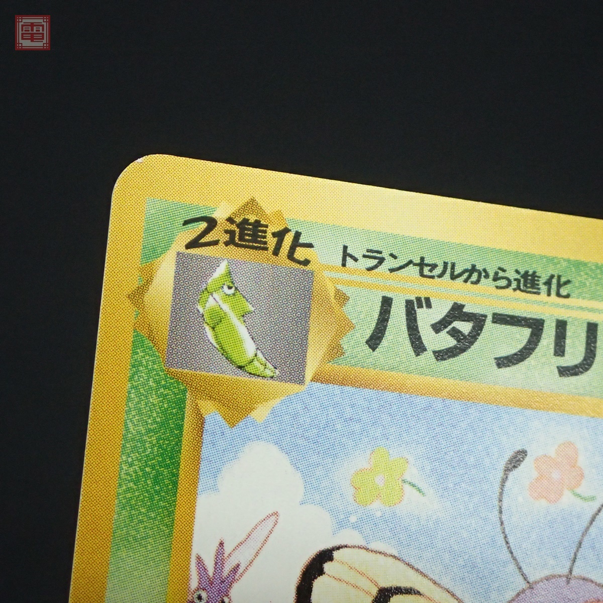 sD585q [コンプ] 旧裏面 ポケカ サザンアイランド レインボー