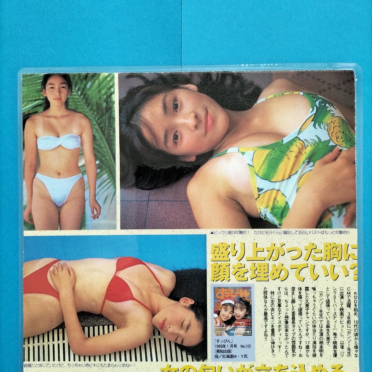 グラビア/水着グラビア/ラミネート加工】麻生久美子 1枚2面(タレント