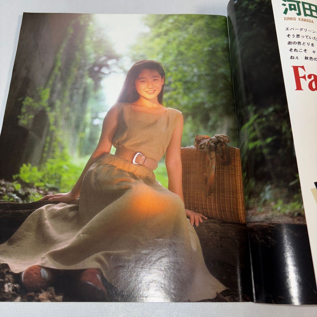Momoco モモコ 1990年11月号 酒井法子 田山真美子ピンナップ 斉藤慶子