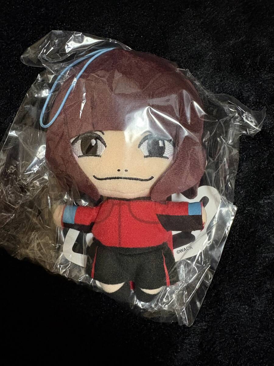 BiSH ぬいぐるみ ② セントチヒロチッチ_1