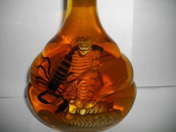 特大のキングコブラとサソリが入ったすごい酒！！☆コブラ酒