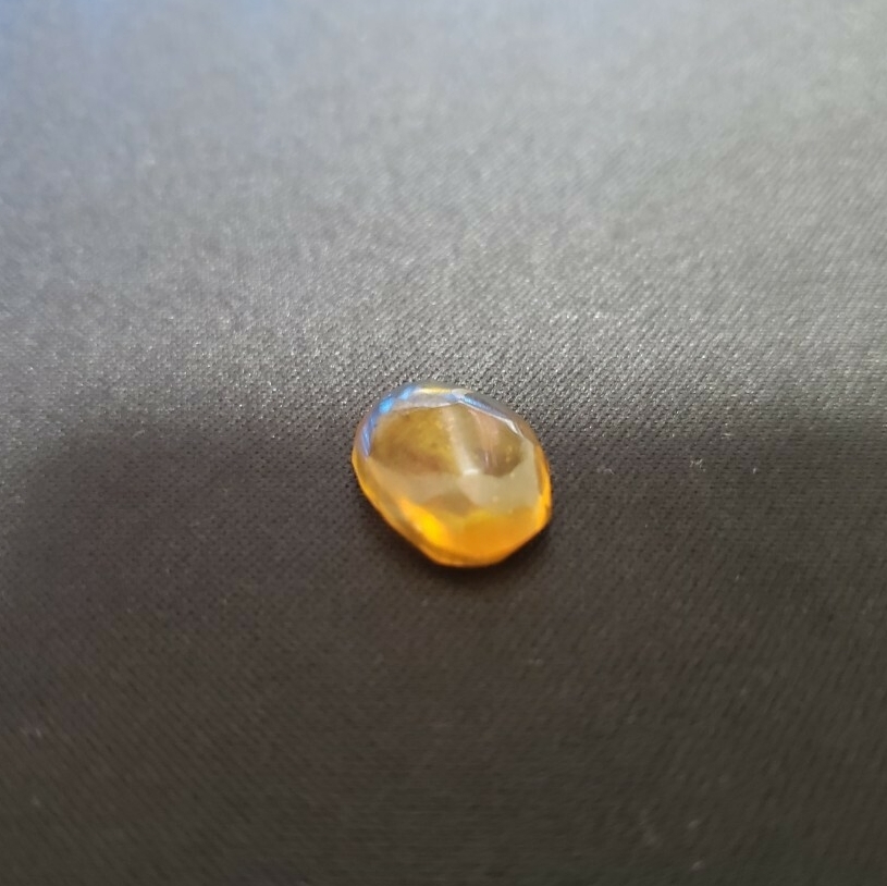 虫入り琥珀 ビルマ琥珀 ミャンマー産 コハク 白亜紀 昆虫 アンバー 標本 No.37_2