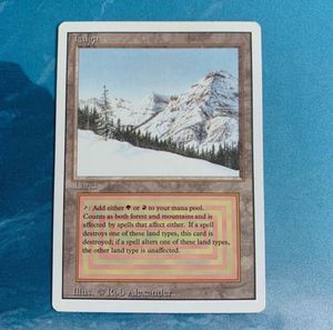 Taiga MTGの値段と価格推移は？｜5件の売買データからTaiga MTGの価値