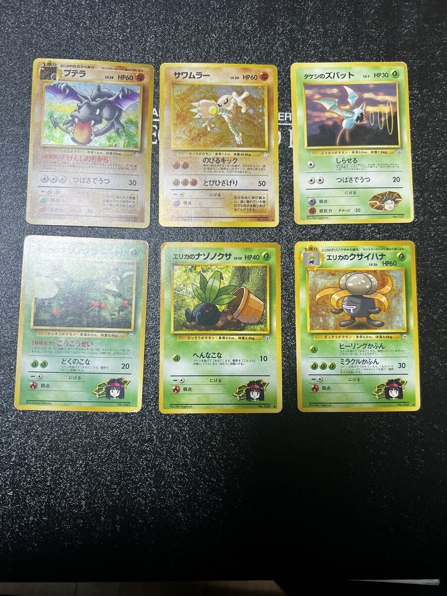 エリカのクサイハナの値段と価格推移は？｜8件の売買データからエリカ