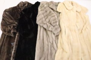 THE AMERICAN FUR AWARDSのYahoo!オークション(旧ヤフオク!)の相場