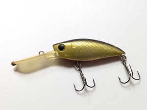 アングラーズリパブリック T.T.M.シャッド48F　T.T. M-Shad シェイプラボ