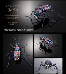 ウスバカミキリの値段と価格推移は？｜43件の売買データからウスバ