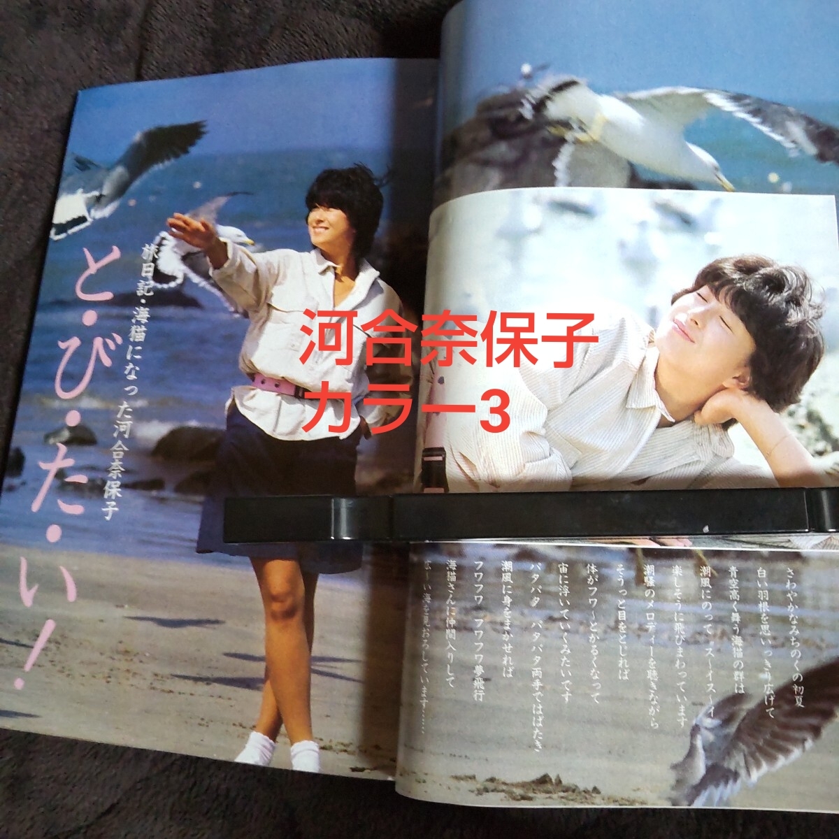近代映画 1984 松田聖子 河合奈保子 岡田有希子 中森明菜 堀ちえみ
