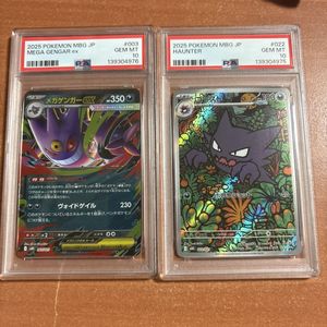 ノ*ン様 ポケモン　ma sr ar chr rr r セット　まとめ ポケモンカード RR セットの値段と価格推移は？｜506件の売買データ