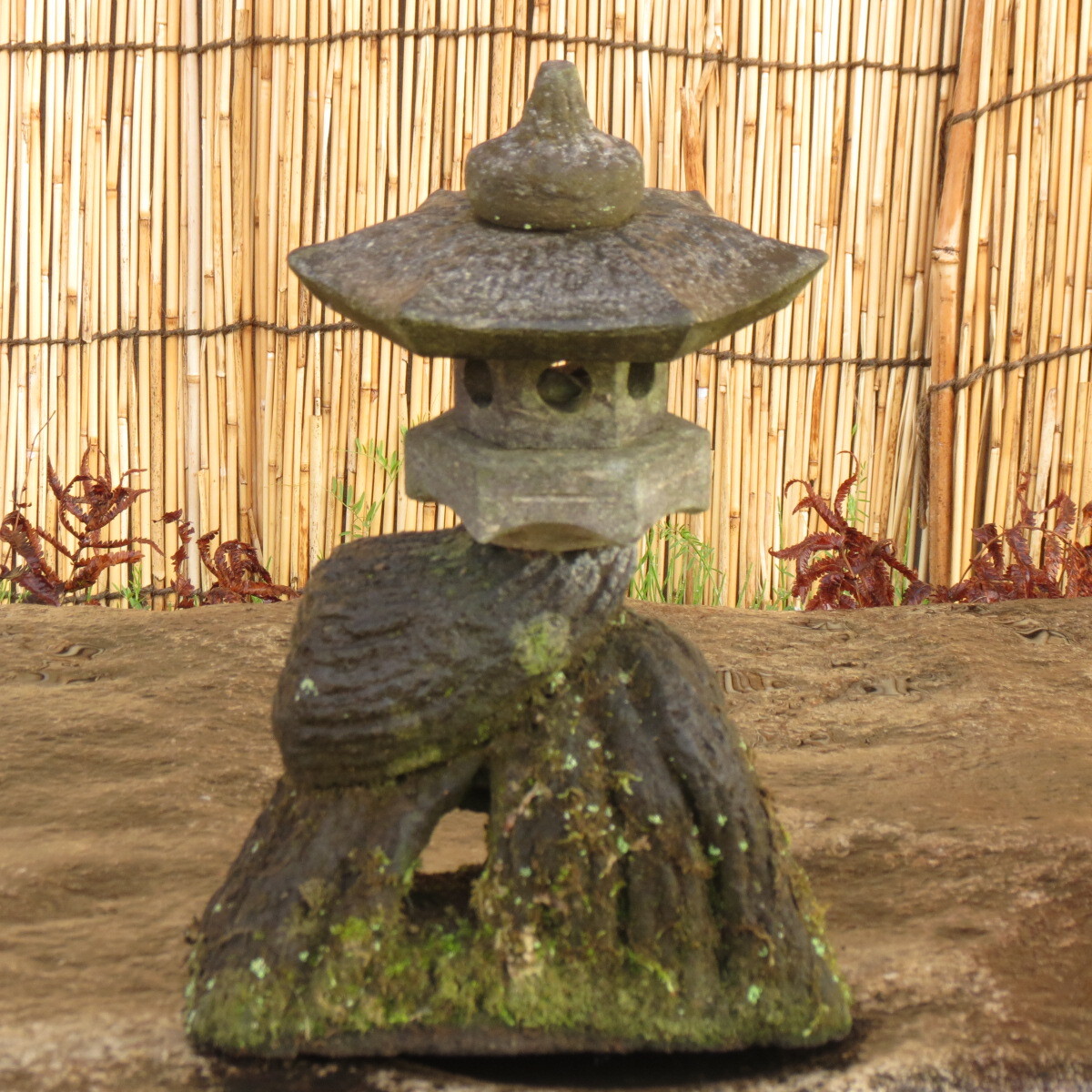 天然石・石鉢・盆石・水鉢・コケ鉢】石付石岩松岩ヒバ寄せ植え鉢庭石