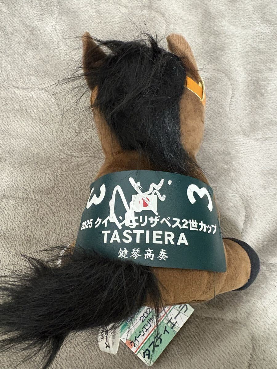 タスティエーラ クイーンエリザベス2世カップ ぬいぐるみ アイドル