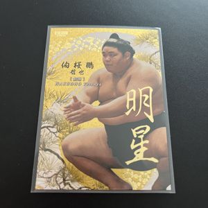 相撲 カードのYahoo!オークション(旧ヤフオク!)の相場・価格を見る