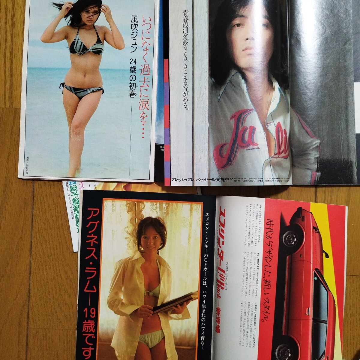 グラビアのみ！ 週刊プレイボーイ 1976年 51冊揃 アグネス・ラム 手塚