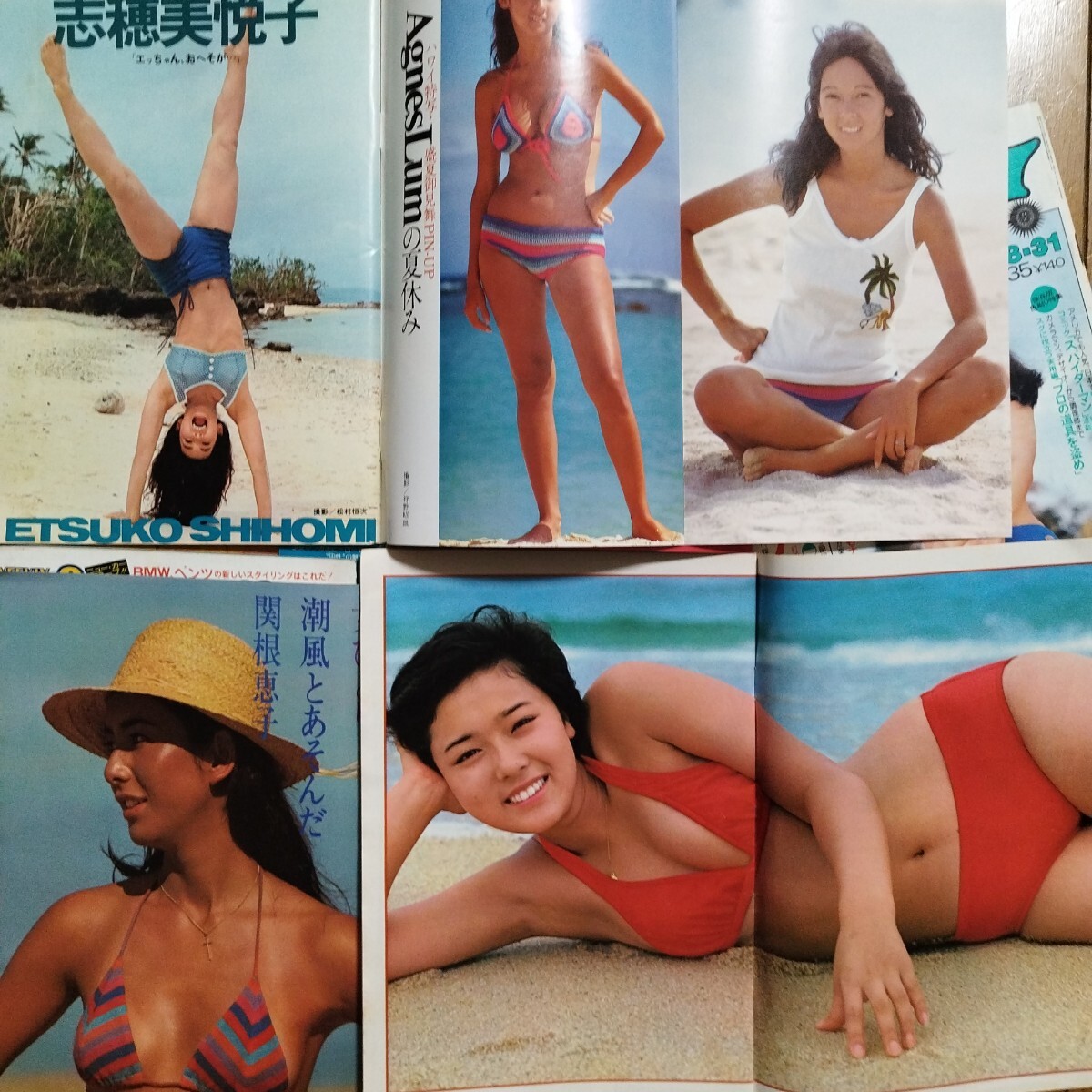 グラビアのみ！ 週刊プレイボーイ 1976年 51冊揃 アグネス・ラム 手塚