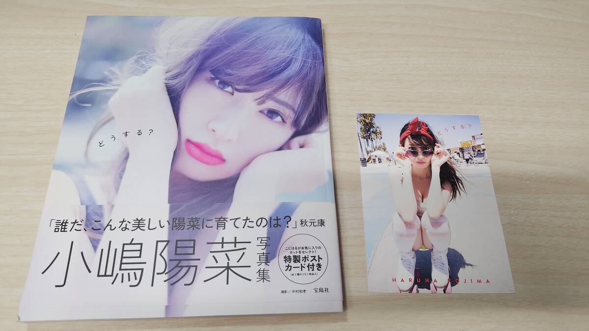 小嶋陽菜写真集 どうするの値段と価格推移は？｜5件の売買データから